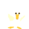 ducks_013.gif